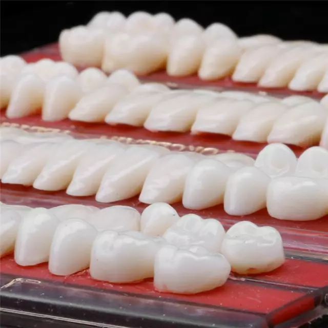 5 Set 24# Dental Teeth Dentures Material Alloy-Pin Porcelain Colors Shade Guide 2