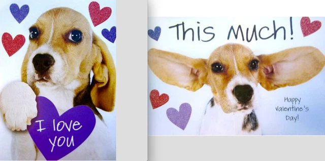 "I Love You THIS MUCH" RPG Glittery VALENTINE'S DAY CARD Dog with Ears Wide $5