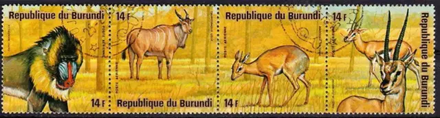 Burundi,Wildtiere J