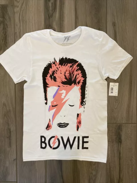 ADULT ZIGGY STARDUST Costume 70s David Bowie Mens Pop Star Fancy Dress  Outfit £16.97 - PicClick UK