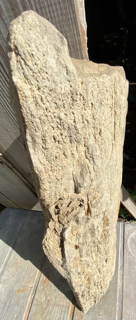 IMPRESSIVE* 29.11 Lb Petrified Fossil Wood Log Covered In Large Druzy-Over 20” L 10