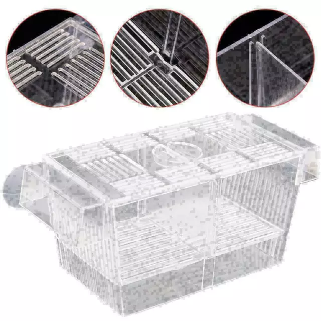Aquarium Fish Tank Guppy Double Breeding Breeder Rearing K9W3 Clear X6K0 US