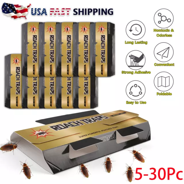 Max 30pc Pest Roach Glue Trap Cockroach Killer Bait Catcher Spider Insect Indoor