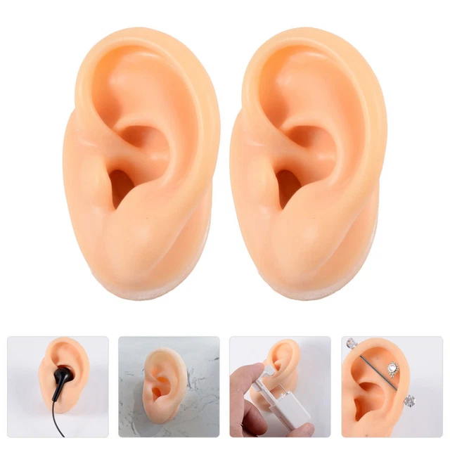 2 Pcs Menschlichen Körper Modellieren Ohrmodell Aus Silikon Requisiten