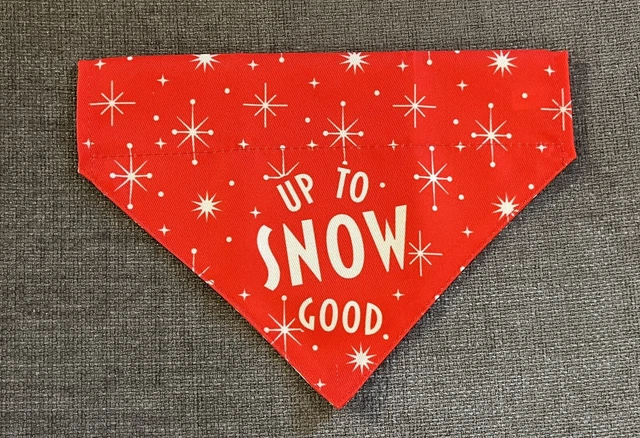 Pets at home bandana hot sale