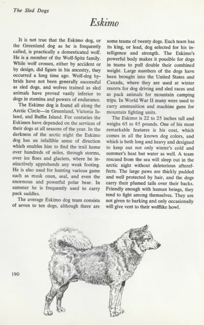 The Eskimo - CUSTOM MATTED - Vintage Dog Art Print - "G"