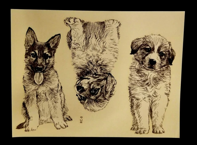 Calcomanías de transferencia de cachorros Meyercord de colección radiocontrol 8 - pastor alemán y golden retriever