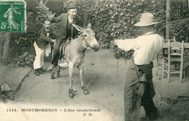 MONTMORENCY LOT de 2 cartes Eglise Entrée Parc Orangerie Ane récalcitrant 2