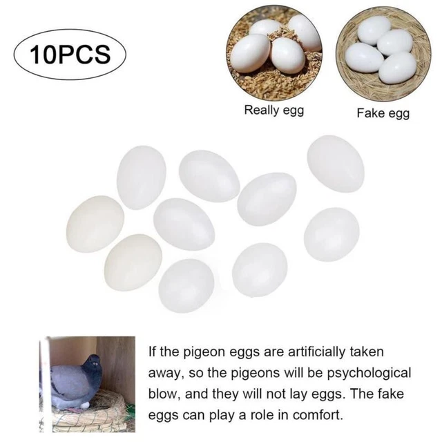 10x Blanc Solide Plastique Oeufs Factice Faux Oeufs for de Course Homing Pigeons