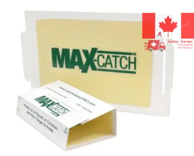 MAX CATCH Sticky Peanut Butter Scented Best Mouse & Insect Glue Boards on The...