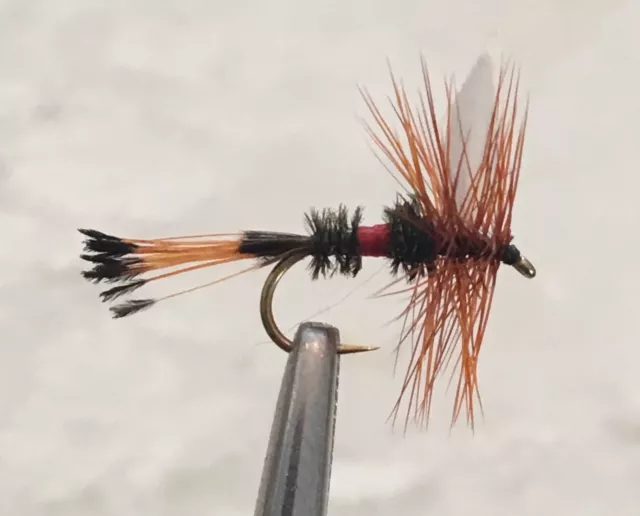 Royal Coachman - Dry Fly Fishing Flies - 6 Flies X Size #12 2