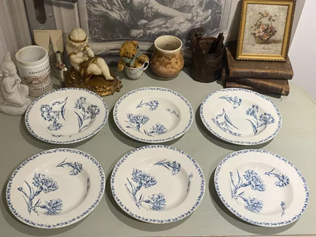 6 Assiettes Creuses Décor Oeillet De Lunéville Terre De Fer