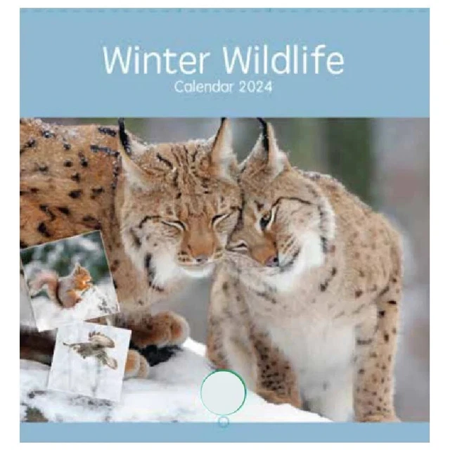 WINTER WILDLIFE 2024 Calendar Large Square Wall Wildlife Calendar 28Cm