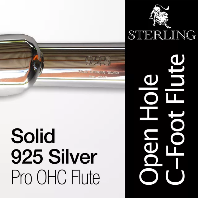 SOLID 925 SILVER Open Hole C Flute • With Case • Professional Quality •