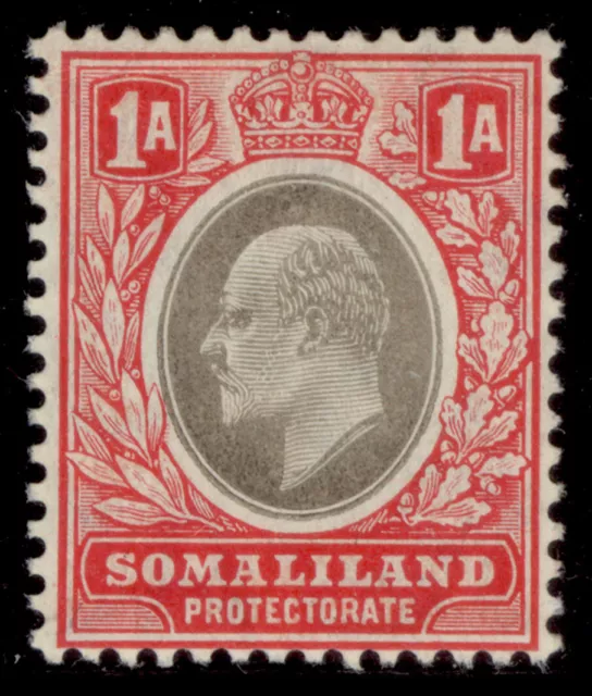 SOMALILAND PROTECTORATE EDVII SG46, 1a grey-black & red, M MINT. Cat £28.