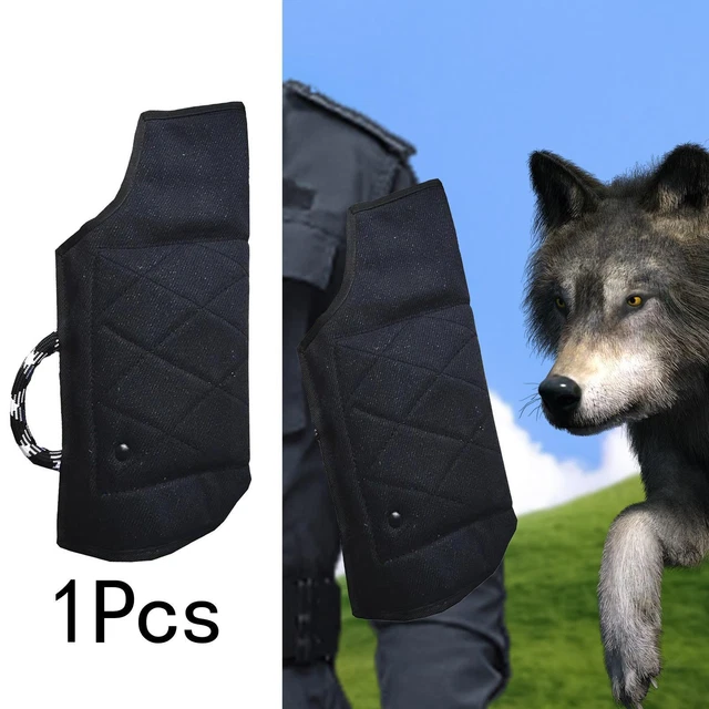 Manchon d'entraînement pour chien, épaissi, polyvalent, Portable, jouet de