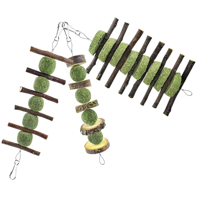 3pcs Kaninchen kauen Spielzeug Hamster Zahnen Spielzeuge Hase Kauthings Haustier