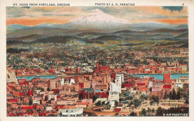Portland OR Oregon Downtown 1920s Panorama View Mt Hood Vtg Postcard P10
