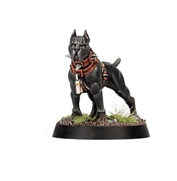WARCRY Cities of Sigmar Hunter and Hunted WILDERCORPS Hunter Trailhound 8a #056b