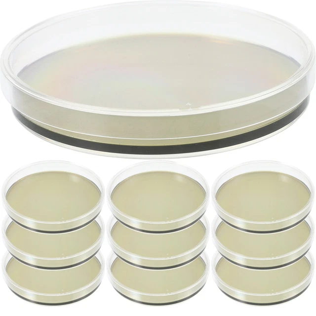 10 Pcs Laboratory Dish Laboratory Agar Plates Petri Dish Ordinary