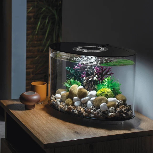 Black Loop 15 Aquarium With Standard Light - 4 Gallon, Acrylic,Free Shipping 3