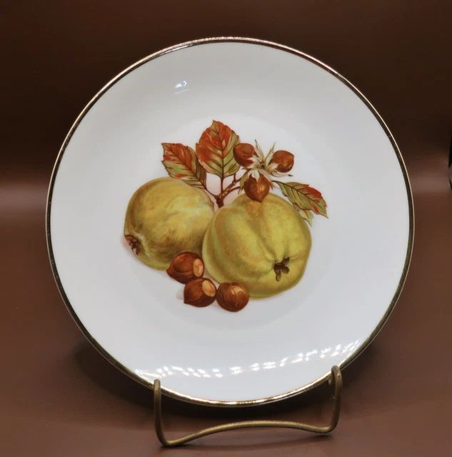 Vintage Bareuther Waldsassen Bavaria Germany 7.75” Fruit Plates 1960's 2