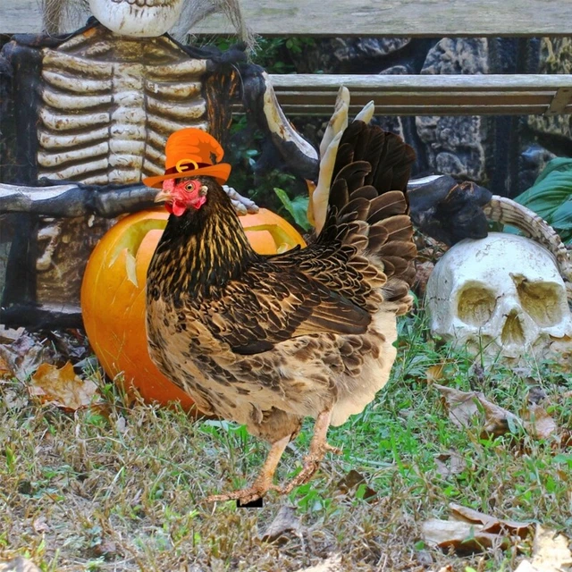 Halloween Chicken Garden Stakes Ornaments Yard Signs Rooster Hen Lawn Insert 3