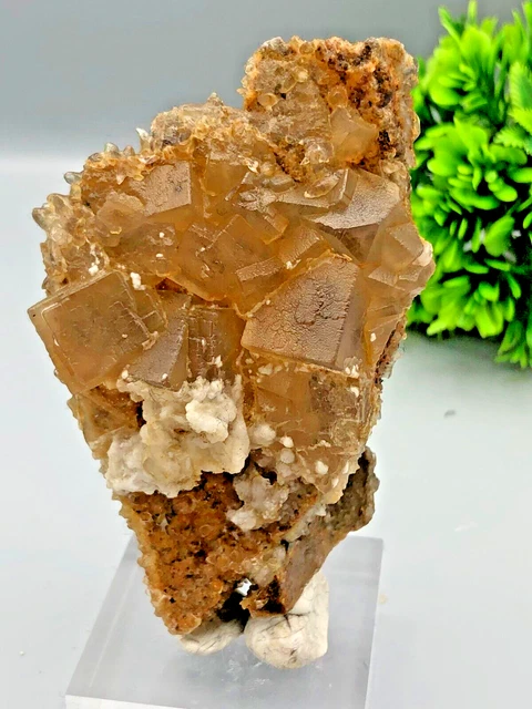 Pietra curativa di cristallo di fluorite gialla e calcite a dente di cane -...