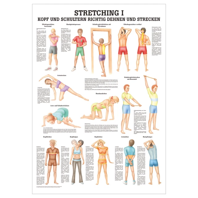 Sport-Tec Chakra Mini-Poster Anatomie 34x24 Cm – Medizinisches Lehrposter Für Yoga & Wellness