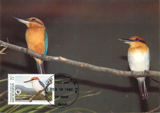 E0008 WWF Maximum Card 1990 Fauna Birds Micronesia Micronesian Kingfisher