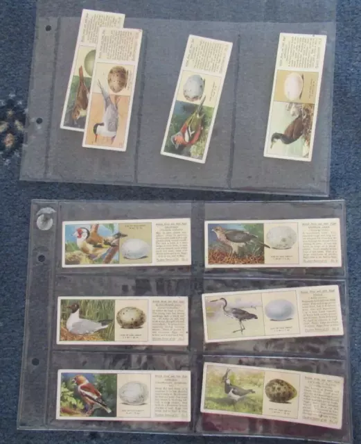 Ty-phoo Tea Cards BRITISH BIRDS AND THEIR EGGS (1936) part set