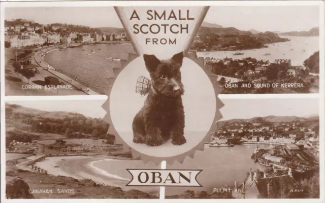 Scotty Dog Multiview, OBAN, Argyllshire RP