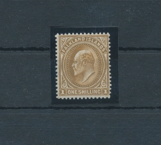 1904-12 Falkland Islands - STANLEY Gibbons N.48 - 1 Schilling Brown - MNH - Lu