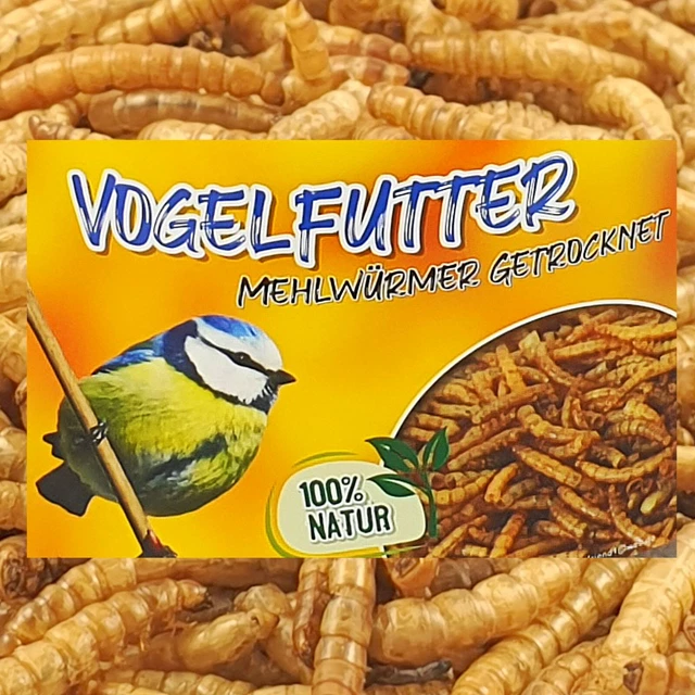 Lyra Pet Getrocknete Mehlwürmer 2x1 Kg – Proteinreiches Futter Für Vögel, Reptilien & Mehr