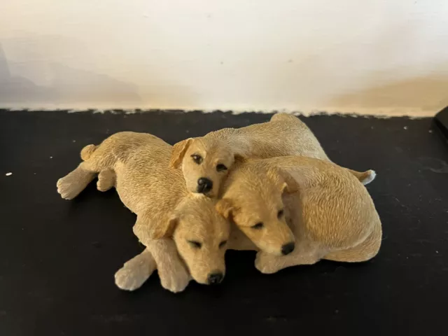 Sherratt And Simpson Golden Yellow Labrador Puppies Lying Together Made UK