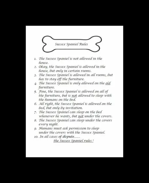 * Sussex Spaniel "Rules" - CUSTOM MATTED - Dog Art Print : GIFT