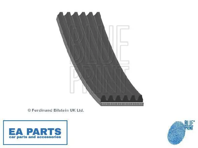 V-Ribbed Belts for CITROËN FORD MAZDA BLUE PRINT AD06R975