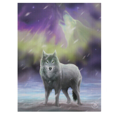 Aurora Wolf Anne Stokes Piastra da parete tela 19x25 cm