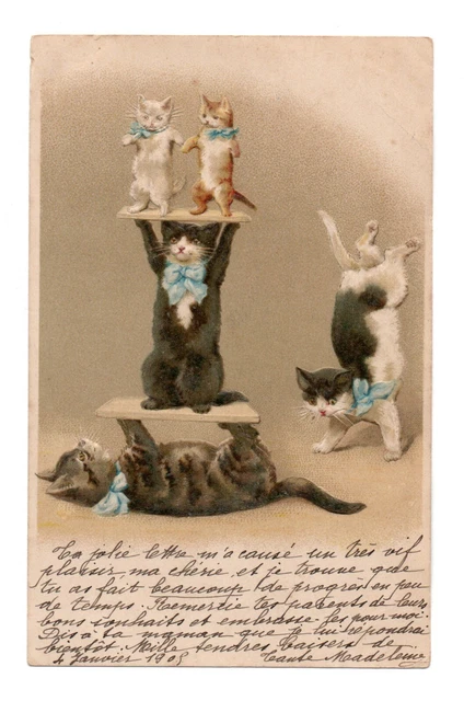 Chats - CHATS HUMANISES S'EMBRASSANT SUR UN BANC ILLUSTRATEUR ARTHUR Thiele Signe Serie 3076 1995955997