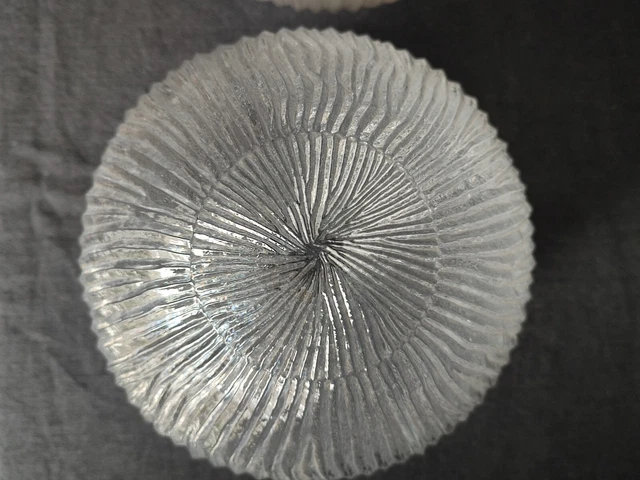 Lot de deux grands globes anciens en verre 5