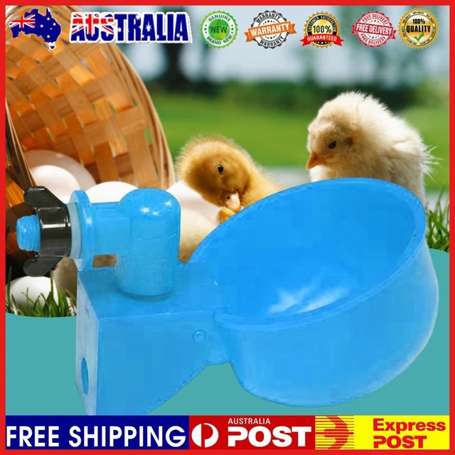 6pcs Chicken Water Cup Plastic Automatic Practical Tools for Farm Animal Feeding
