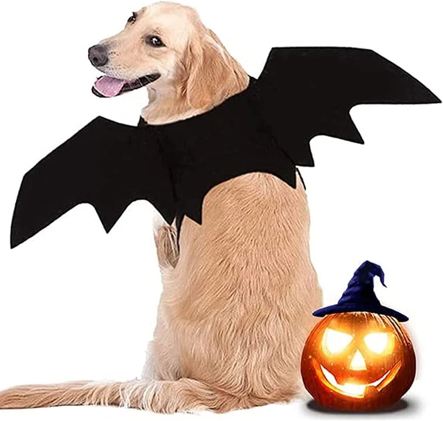 Ali per Animali Domestici,Ali Di Pipistrello Di Cane, Costume Di Costume per Can