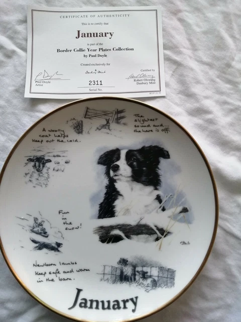 Border clearance collie plates