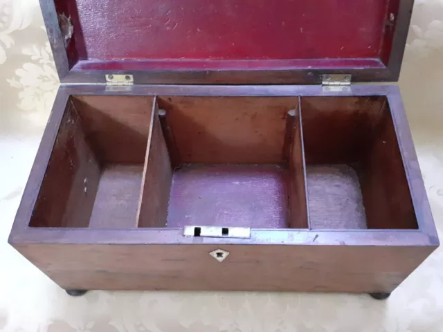 Antique 19th Century Rosewood Tea Caddy On Bun Feet In Excellent Condition 3