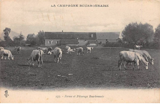 58 - CAMPAGNE BOURBONNAISE - SAN25586 - La Campagne - Ferme et Pâturage- Agric