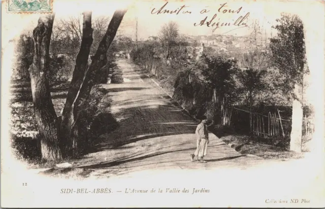 Algeria Sidi-bel-Abbès L'Avenue de la Vallée des Jardins Vintage Postcard B133