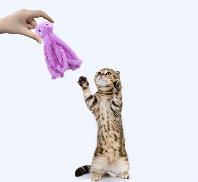 interactive cat toys for indoor cats