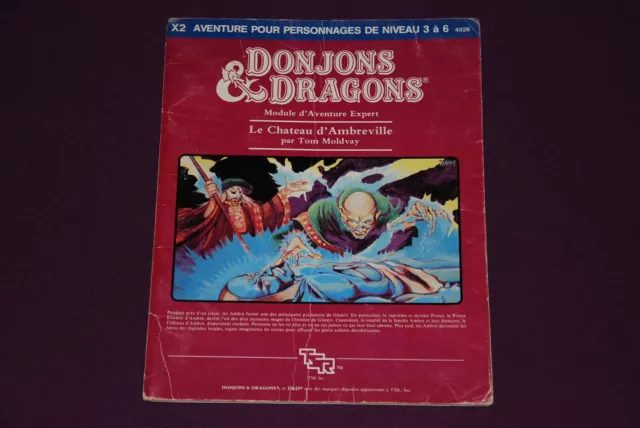 D&D DONJONS & DRAGONS JDR Jeu de Role - Le Chateau d'Ambreville (X2)