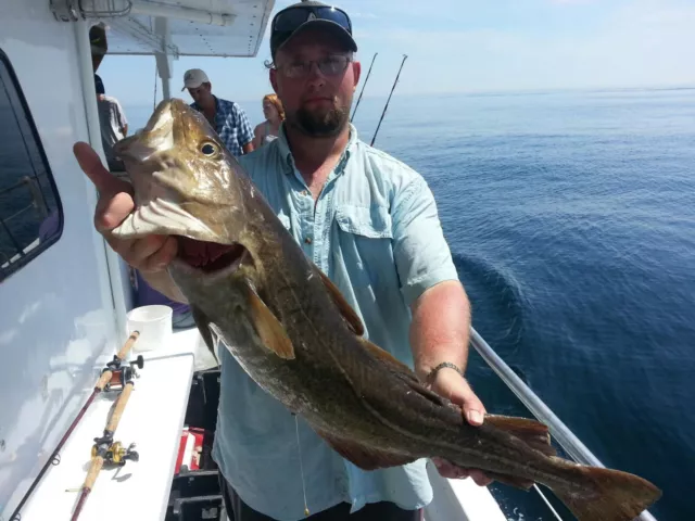 HAND TIED HI/ Low 5/0 VMC Hooks Cod Bait Rigs Fishing Haddock