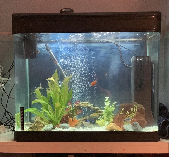 300 litre BOYU fish tank / aquarium- Well Maintained With NO LEAKS - Tank and Li